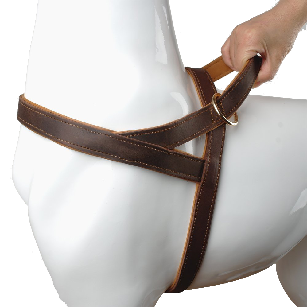 Brown Genuine Leather Dog Harness For Walking and Training for Medium & Large Dogs