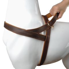 Brown Genuine Leather Dog Harness For Walking and Training for Medium & Large Dogs