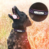 Image of Customized Adjustable Leather Dog Collar For Small, Medium & Large Dogs