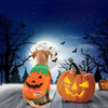 Image of Funny Pet Outfit - Winter Jacket for Small Dogs and Cats (For Halloween Party)