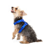 Image of Adjustable Soft Leather Pet Harness For Small Dogs