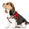 Image of Soft Suede Leather Rhinestone Harness For Small and Medium Dogs