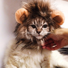 Funny Fancy Dress with Lion Ears and Hair For Cats and Small Dogs -  Halloween Party