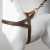 Image of Brown Genuine Leather Dog Harness For Walking and Training for Medium & Large Dogs