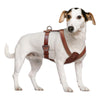 Image of Genuine Leather Dog Harness - Chest Adjustable For Walking & Training