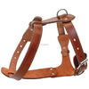 Image of Genuine Leather Dog Harness - Chest Adjustable For Walking & Training