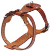 Image of Genuine Leather Dog Harness - Chest Adjustable For Walking & Training