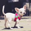 Image of Cute & Soft Suede Leather Harness For Small Dogs and Cats