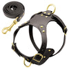 Image of Adjustable Genuine Leather Dog Harness + Walking Leash For Small & Medium Dogs