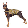 Image of Military Tactical Dog Harness Durable & Comfortable For Training and Running + Accessories