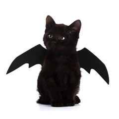 Black Bat Wings Costume for Cats and Small Dogs - Halloween Cosplay Costume