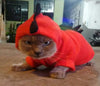 Image of Cute Winter Warm Dragon Suit for Cats and Dogs - Halloween Costume