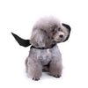 Image of Bat Wings Costume Harness for Small Dogs and Cats - Halloween Cosplay Costume