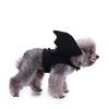 Image of Bat Wings Costume Harness for Small Dogs and Cats - Halloween Cosplay Costume