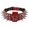 Image of Cool Spiked Studded Leather Dog Collar For Medium & Large Dogs