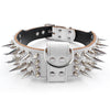 Image of Cool Spiked Studded Leather Dog Collar For Medium & Large Dogs