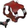 Image of Genuine Leather Dog Harness for Large Dogs