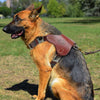 Image of Genuine Leather Dog Harness for Large Dogs