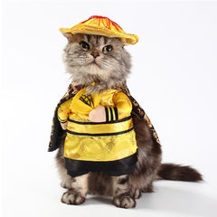 Funny Chinese Princess Cosplay Clothes For Cats and Dogs- Halloween Costume