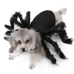 Halloween Funny Outfit - Pet Spider Clothes for Dogs and Cats