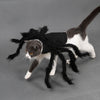 Image of Halloween Funny Outfit - Pet Spider Clothes for Dogs and Cats