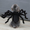 Image of Halloween Funny Outfit - Pet Spider Clothes for Dogs and Cats