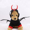 Image of Halloween New Spider Beetle Coat for your Pet