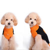 Image of Pumpkin Sweater for Dogs and Cats - Halloween Party