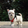 Image of Soft Suede Leather Harness for Small Dogs and Cats