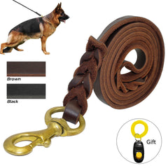 Braided Leather Dog Leash for Walking and Training For Medium & Large Dogs