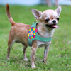 Image of Cute & Soft Suede Leather Harness For Small Dogs and Cats