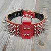 Image of Cool Spiked Studded Leather Dog Collar For Medium & Large Dogs