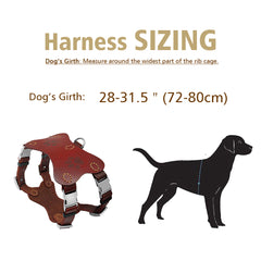 Genuine Leather Dog Harness for Large Dogs