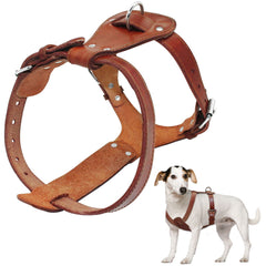 Genuine Leather Dog Harness - Chest Adjustable For Walking & Training