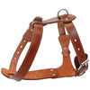 Image of Genuine Leather Dog Harness - Chest Adjustable For Walking & Training