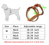 Image of Genuine Leather Dog Harness - Chest Adjustable For Walking & Training