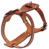 Image of Genuine Leather Dog Harness - Chest Adjustable For Walking & Training