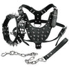 Image of [3 IN 1]  Solid Spiked Studded Leather Dog Collar + Leather Harness + Durable & Comfortable Leash