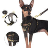 Image of Adjustable Genuine Leather Dog Harness + Walking Leash For Small & Medium Dogs