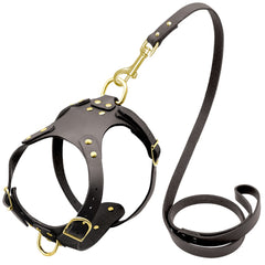 Adjustable Genuine Leather Dog Harness + Walking Leash For Small & Medium Dogs