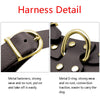 Image of Adjustable Genuine Leather Dog Harness + Walking Leash For Small & Medium Dogs