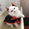 Image of Cute Cosplay Vampire Cloak Cape with Cosplay Horns - Halloween Costume