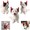 Image of Cute Cosplay Vampire Cloak Cape with Cosplay Horns - Halloween Costume