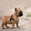 Image of Soft Suede Leather Rhinestone Harness For Small and Medium Dogs