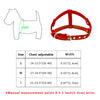 Image of Soft Suede Leather Rhinestone Harness For Small and Medium Dogs