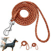 Image of Braided Leather Dog Leash Rolled Round For Small & Medium Dogs