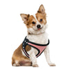 Image of Soft Rhinstone Adjustable Harness For your Dog