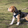 Image of Soft Rhinstone Adjustable Harness For your Dog