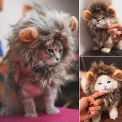 Funny Fancy Dress with Lion Ears and Hair For Cats and Small Dogs -  Halloween Party