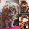 Image of Funny Fancy Dress with Lion Ears and Hair For Cats and Small Dogs -  Halloween Party